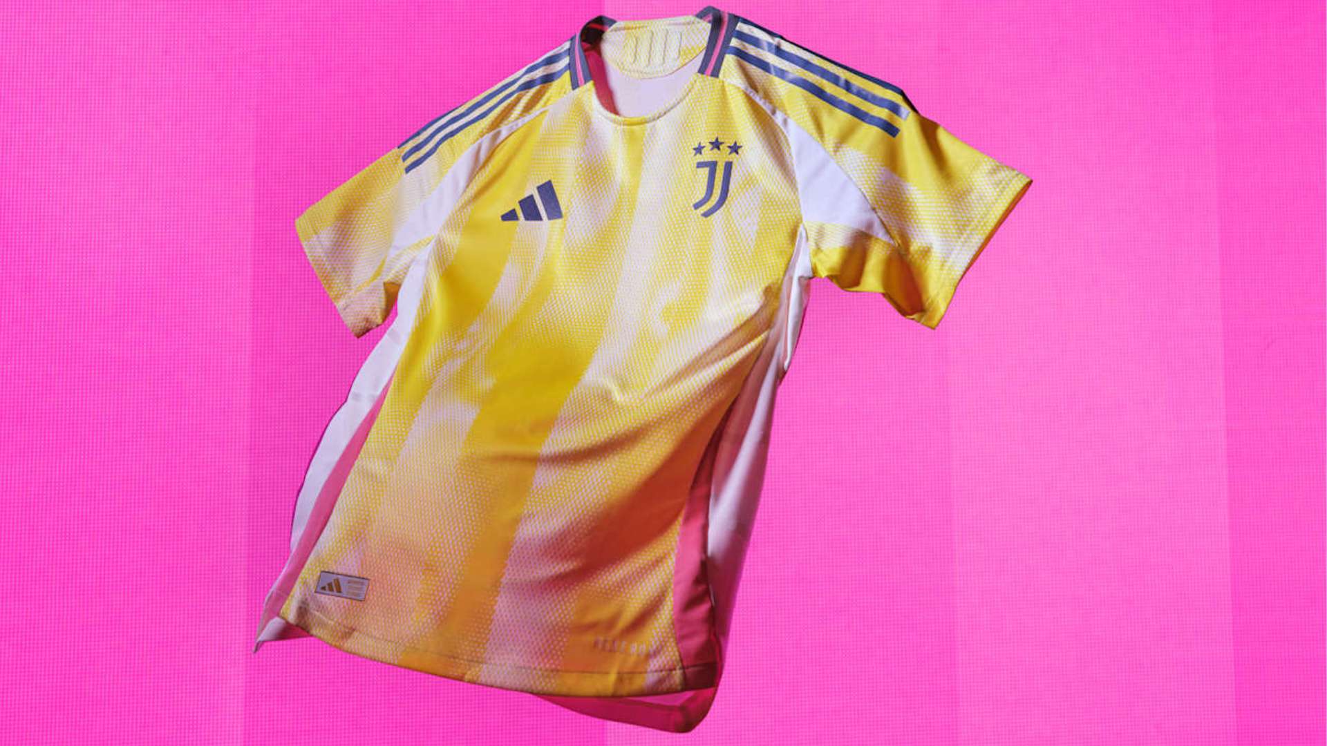 办和参与的 办和参与的