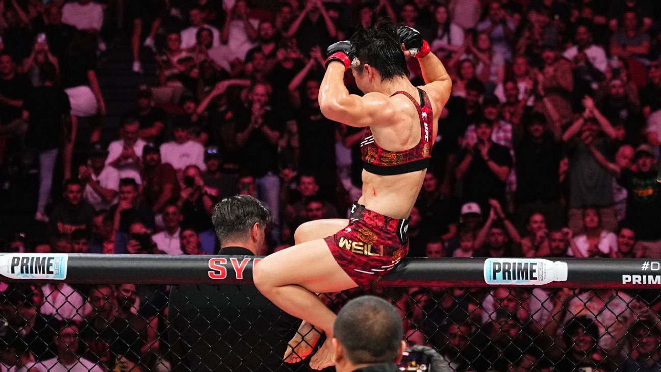 球足球體系 球足球體系